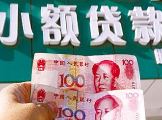 小额信贷的特点:可弥补银行贷款的不足之处