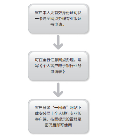 开通个人网上银行专业版的服务流程图