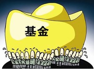 如何购买基金?选择适合自己的基金