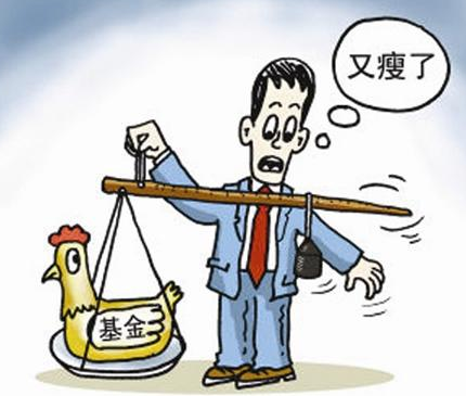 价格起伏不定的诺安股票基金 散户如何快速止损?