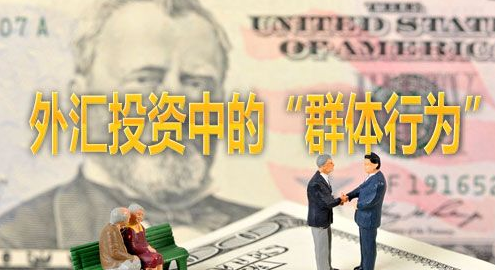 投资外汇最高境界:把握政治方向及时调整投资计划