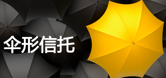 伞形信托:组合投资优势更明显
