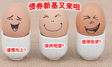 债券型基金有风险吗?债券型基金的含义是什么?