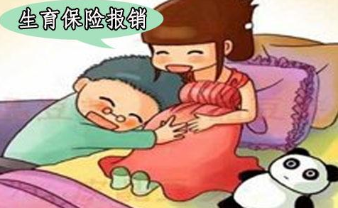 宜人贷解析:为什么这个社会突然有了生育险?