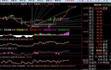 过于依赖股票交易软件只会导致投资者损失惨重